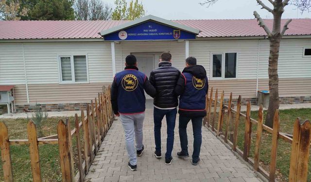 Muş'ta dolandırıcılık suçundan aranan hükümlü yakalandı