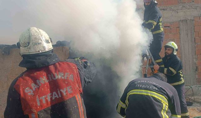 Şanlıurfa'da mesken yangını söndürüldü