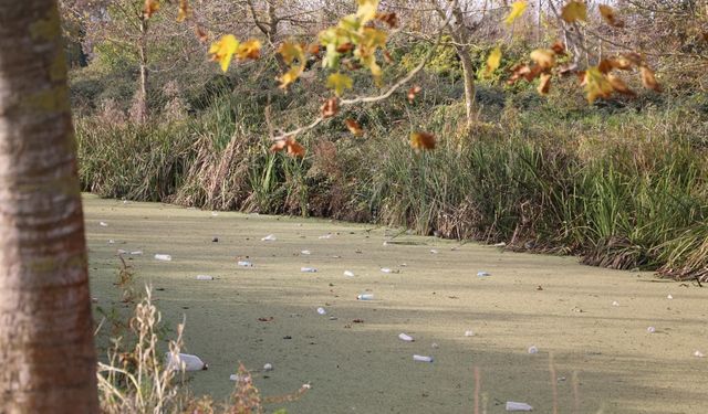 Su kanalı adeta çöplüğe döndü: Vatandaş Karasu Belediyesi'ni göreve çağırdı