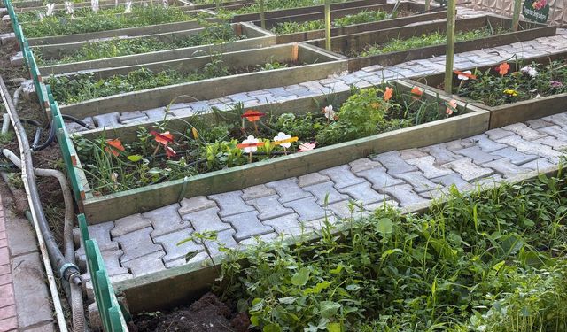 Mezitli’den Türkiye’ye Model Olacak Proje : Açık Hava Sınıfı