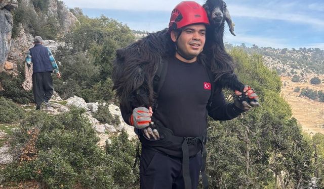 Mersin'de kayalıklarda mahsur kalan 2 keçi itfaiye ekiplerince kurtarıldı