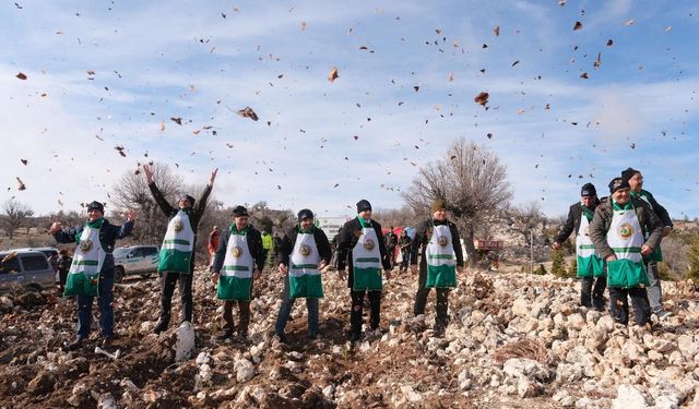 Şehidin adı sedir ormanında yaşatılıyor