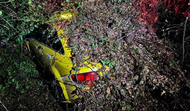 Sürücüsünün içinde olduğu otomobilin üzerine ağaç devrildi