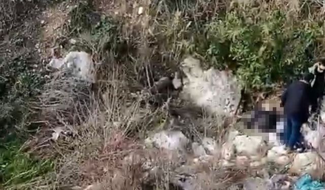 Balıkesir'den kayıp olarak aranan şahsın cesedi Mersin'de bulundu