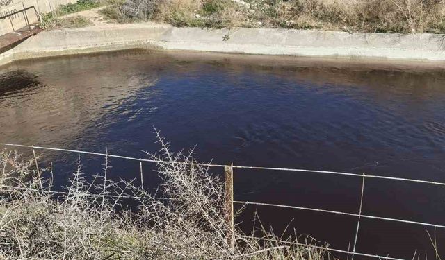 Göksu'nun siyah akmasına neden olan tesise 1 milyon 337 bin TL ceza