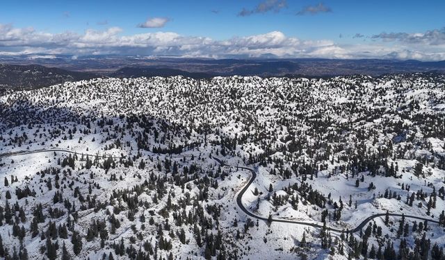 Mersin'de karla kaplanan ormanlık alandan kartpostallık görüntüler