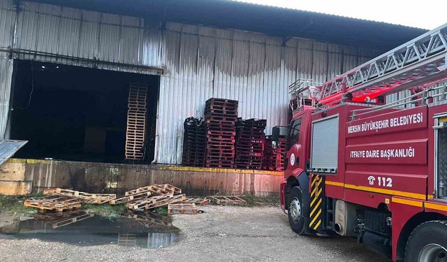 Narenciye fabrikasında yangın çıktı, çok sayıda ekip müdahale etti