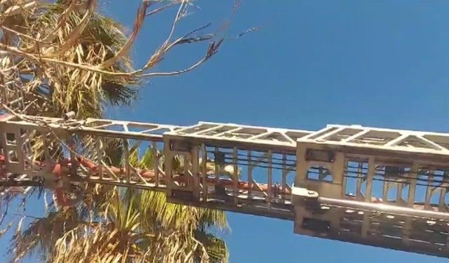 Silifke'de yürekleri ısıtan kurtarma