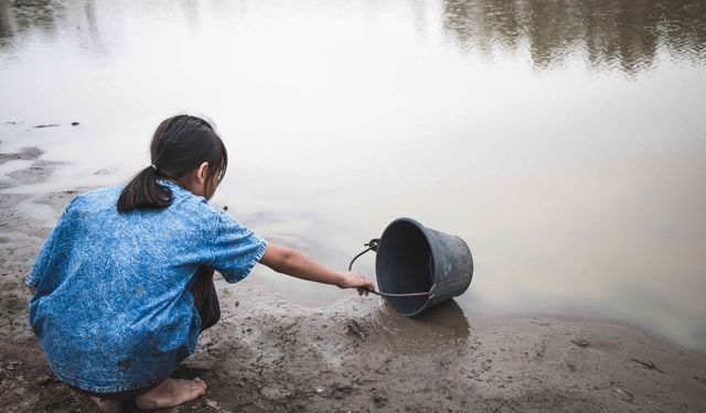 “Doğa Çöküyor: Orman Kaybı ve Su Krizi Derinleşiyor”