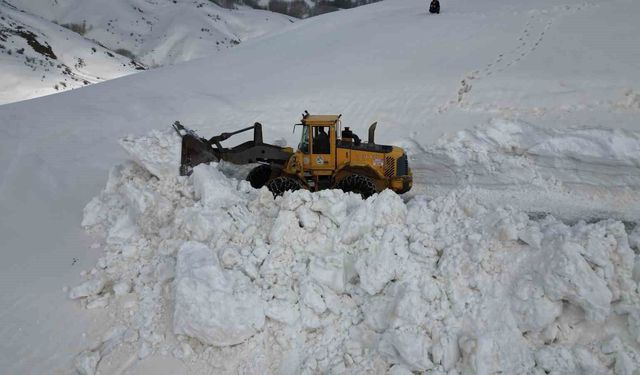 Bitlis'te 5 metreyi bulan karda yol açma çalışması