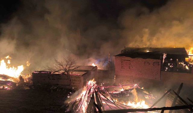 Bolu'da çıkan yangında çok sayıda yapı küle döndü