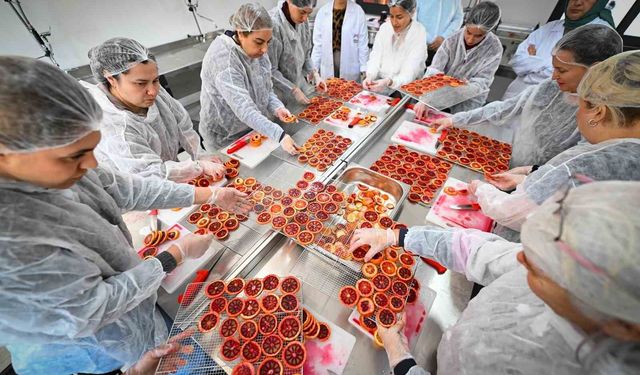 Mersin'de kan portakalı kadınların elinde değer kazanıyor