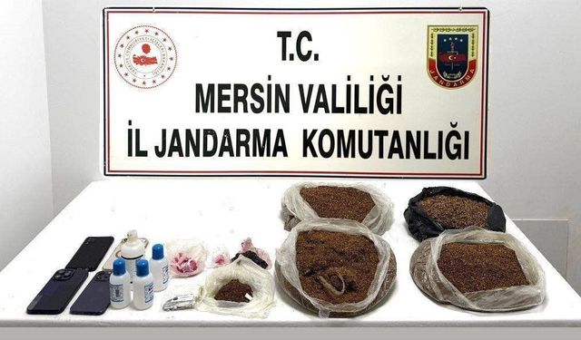 Mersin'de uyuşturucu operasyonu: 10,5 kilo bonzai ele geçirildi