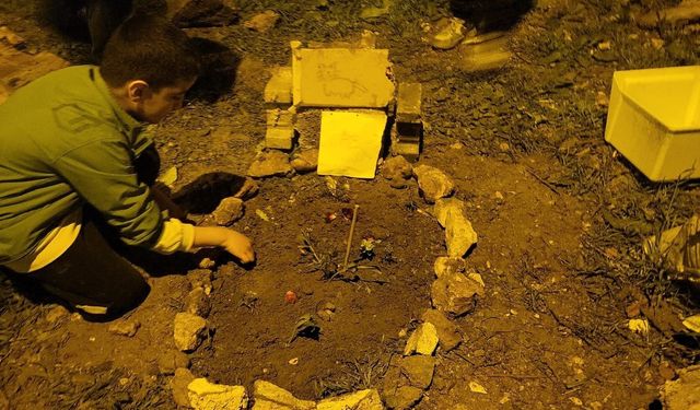 Nusaybin'de çocuklardan telef olan kediye anlamlı veda