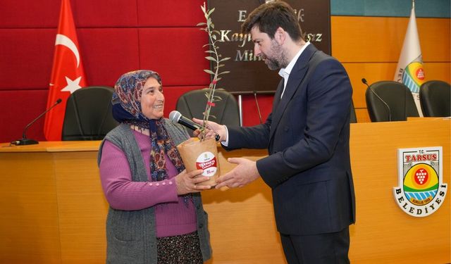 Tarsus'ta zeytinyağında kalite yarışması düzenlendi