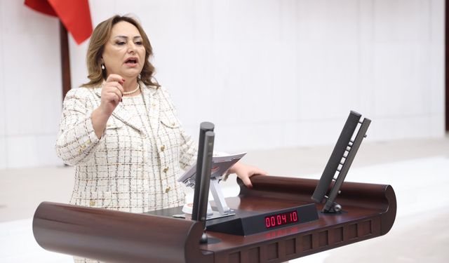 0850 Terörü Meclis Gündeminde