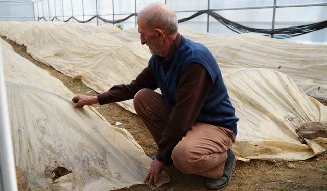 76 yaşındaki Bayburtlu üretici ata tohumları için zirai don nöbetinde