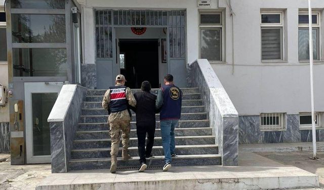 Birecik'te göçmen kaçakçısı yakalandı