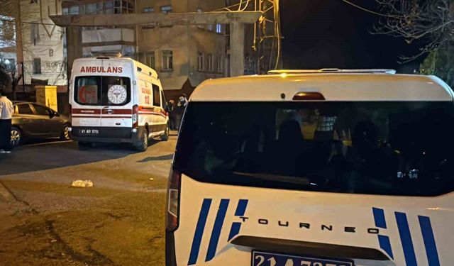 Diyarbakır'da eşini öldürüp kızını ağır yaralayan zanlı tutuklandı