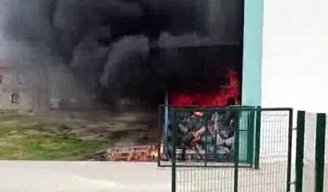 Diyarbakır'da korkutan yangın