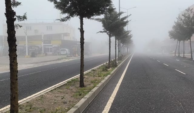 Diyarbakır'da sis etkili oldu