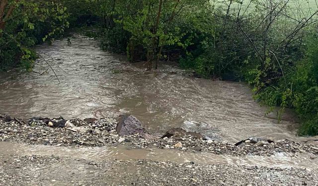 Düziçi'nde şiddetli yağış: Tarım arazileri ve yollar sular altında kaldı