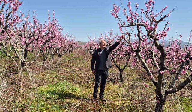 Elazığ'da meyve bahçelerinde entegre mücadele çalışması
