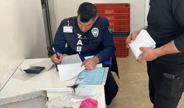 Germencik'te ruhsatlar kontrol edildi