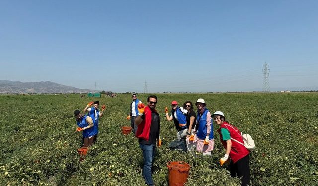Gönüllü Hasat Etkinliği 2026 yılı takvimi açıklandı