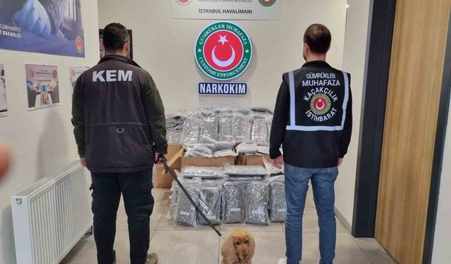 Gümrükler Muhafaza ekipleri piyasa değeri 378 milyon olan 420 kilo uyuşturucu madde yakaladı