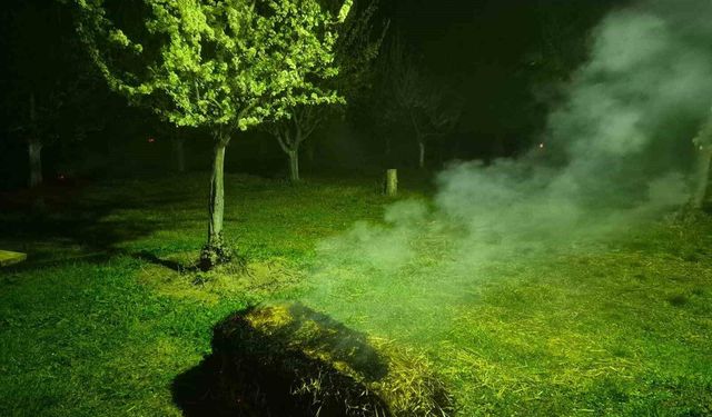 Iğdır'da çiftçiler meyve ağaçlarını dumanlama yöntemi ile soğuktan korudu