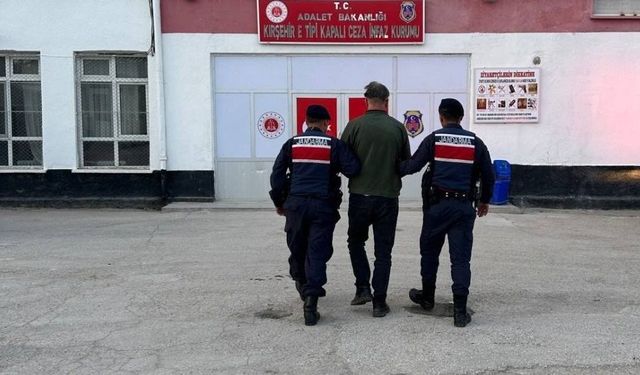 Köpeği av tüfeği ile vurarak öldüren şahıs tutuklandı