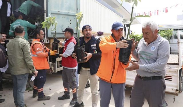 Mersin'de üreticiye avokado fidanı ve destek dağıtımı