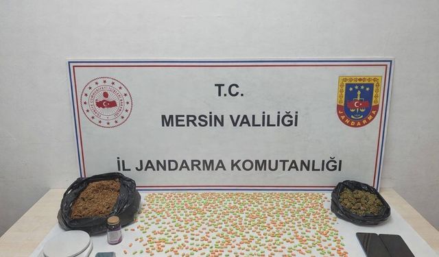 Erdemli'de uyuşturucu taciri 2 şüpheli yakalandı