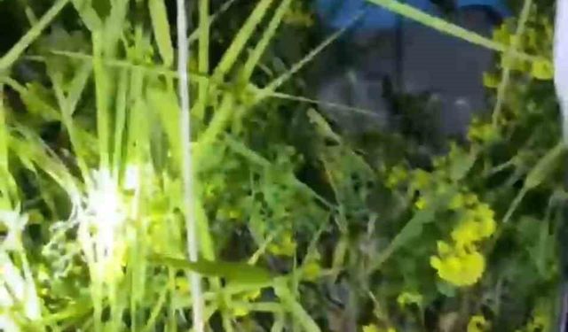 Şanlıurfa'da kayalıklarda mahsur kalan 2 küçük kardeş kurtarıldı