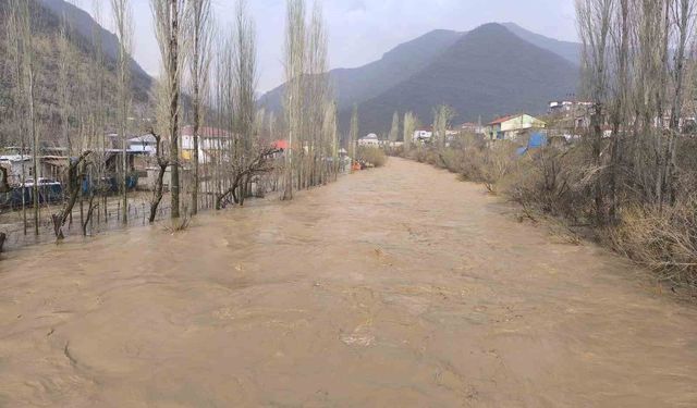 Şırnak'ta şiddetli yağış sonrası Habur Çayı coştu