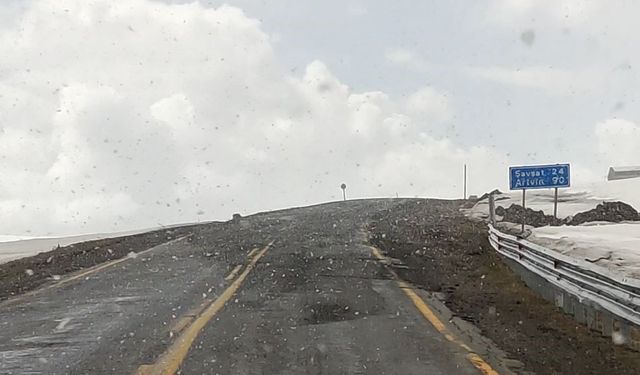 Ardahan'ın yüksek kesimlerinde kar yağışı etkili oldu