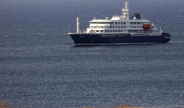 Atlas Okyanusu'ndaki lüks yolcu gemisinde görülen hantavirüsün kronolojisi