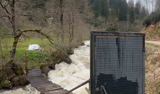 Böylesi ancak Karadeniz'de olur