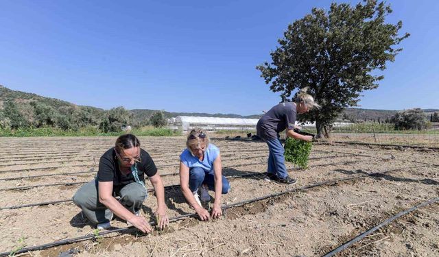 Büyükşehir çiftçinin emeğine katma değer katıyor