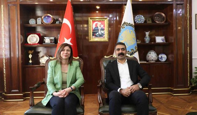 DBB'nin düzenleyeceği barış paneline CHP'li Özgür Özel, MHP'li Feti Yıldız da davet edildi