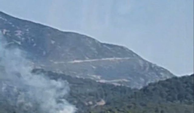 Fethiye'de orman yangını