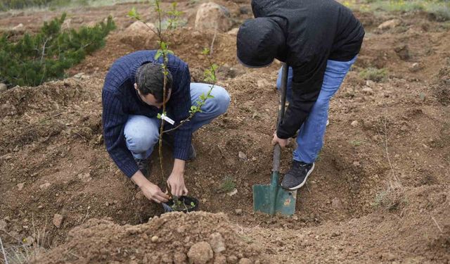 Gümüşhane Üniversitesi'nde akademisyenler için 'meyve bahçesi' oluşturuldu