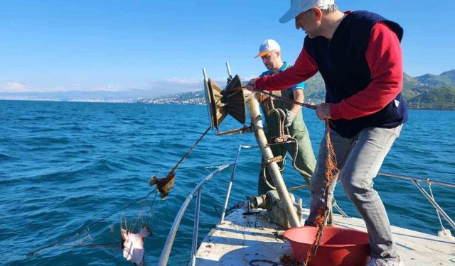 Kalkan av yasağı denetimlerinde 3 bin metre ağa el konuldu