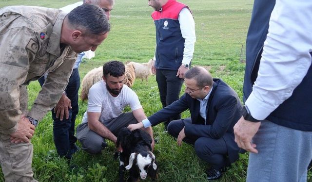 Kaymakam Baycar, göçer üreticilerin sorunlarını yerinde dinledi