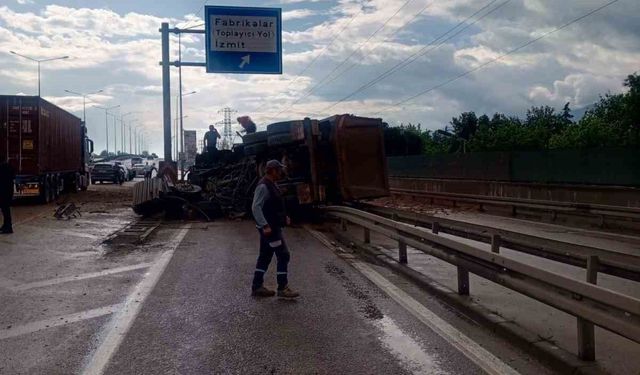 Köpeğe çarpmamak için manevra yapan kamyon bariyere çarpıp yan yattı
