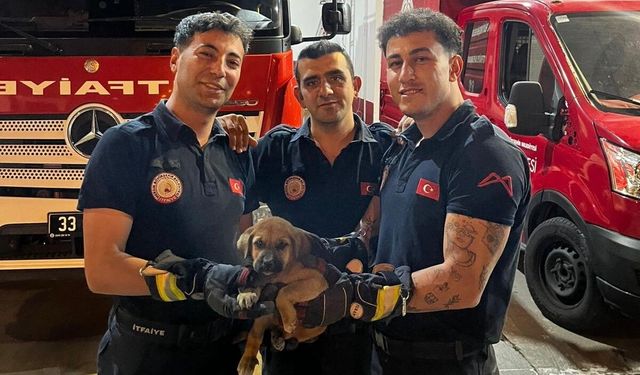 Otomobilin motoruna sıkışan yavru köpeği itfaiye kurtardı