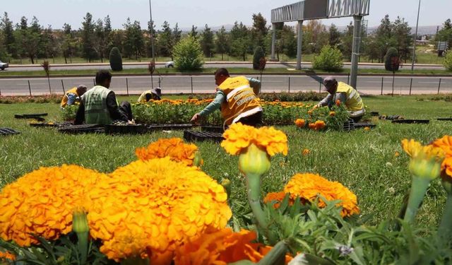 Şanlıurfa çiçeklerle donatıldı