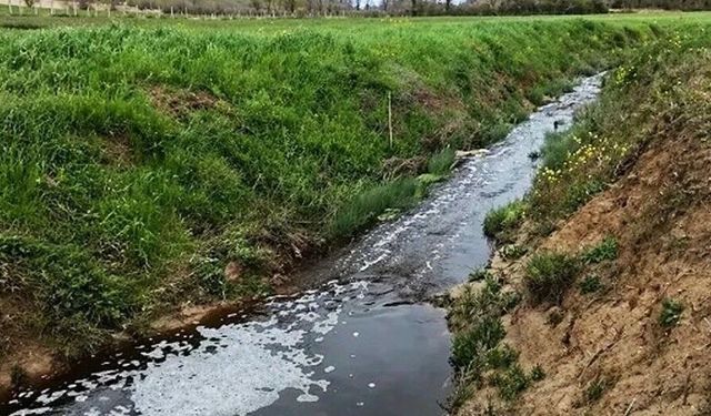 Sinop'ta çevreyi kirleten tesise 1.6 milyon TL ceza