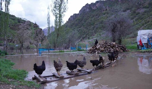 Şırnak'ta sel suları köprüleri yıktı, ev ve ahırlar sular altında kaldı